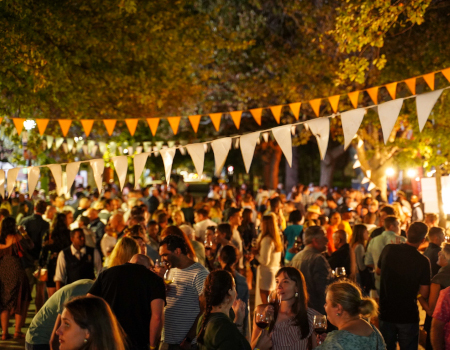 What's on in Stellenbosch now?