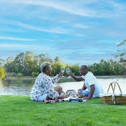 Picnic at Zevenwacht